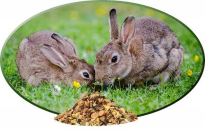 Unser leckeres und gesundes Kaninchenfutter ist immer knackig durch den hohen Anteil an Erbsenflocken, Möhrenflocken, Nüssen und Gemüsechips